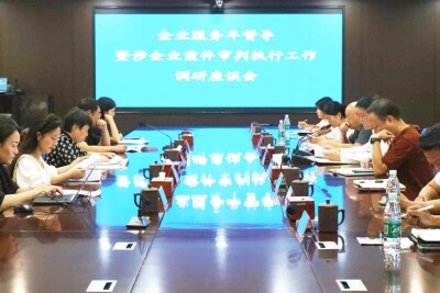 永州中院开展“企业服务年”专项督导暨涉企案件审判执行工作调研