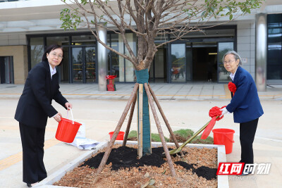 一棵树，一份传承——湘潭市中医医院新院区“名医林”种下岐黄薪火