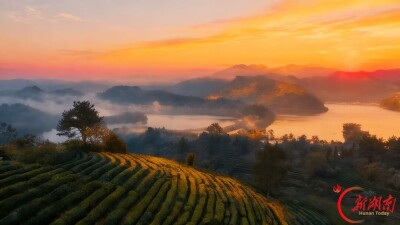 《古丈县茶叶志》出版@湖南日报