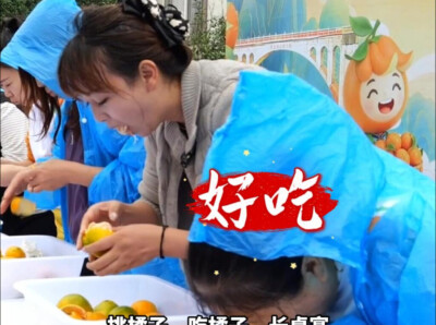 石门橘子又红了丨石门橘农趣味运动会庆丰收，甜蜜橘香聚人气