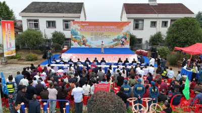 石门橘子又红了 | 橘园赛场竞欢乐 趣味盛会庆丰收
