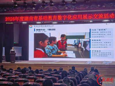 蒸湘区呆鹰岭镇新阳小学亮相全省基础教育数字化应用展示交流活动并作典型经验分享
