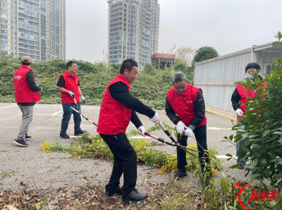 党建红守护生态绿！开福区开展“加拿大一枝黄花”专项除治志愿行动