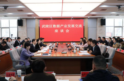 武陵区：政企围坐聊“数据” 同心携手破难题