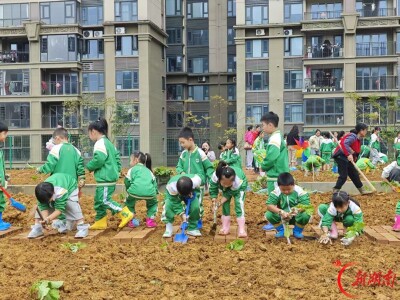 把劳动课堂搬进田间地头！湘西州溶江小学亲子共育劳动基地开园