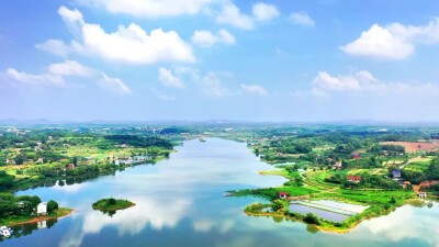 水岸协同共治！看毛里湖的生态答卷