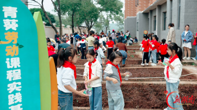 耕耘收获成长！石鼓区朝阳小学开展秋季劳动实践思政教育活动