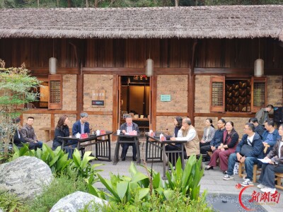 共享桃花源里幸福生活：专家实景对话探寻文旅新路径