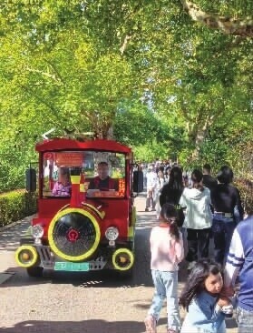 秋假遛娃来长沙，5条线路静享慢时光