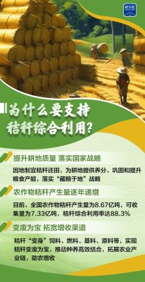秸秆的“绿色归宿”