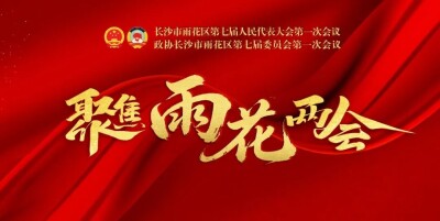 一图速览丨雨花区人大常委会工作报告