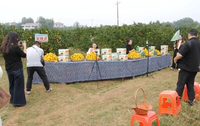 第四届“名评名家湖湘汇”走进石门 生态产业故事引网络大咖点赞
