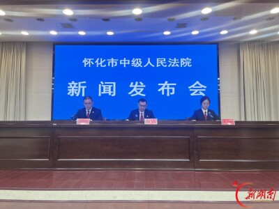 聚焦企业服务年，怀化法院构建全链条司法服务体系