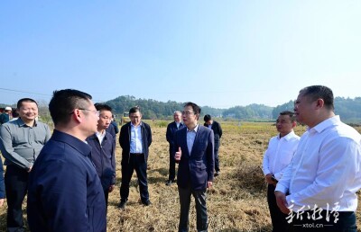 胡贺波赴湘乡市调研督导群众身边不正之风和腐败问题集中整治工作