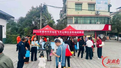 苏仙区飞天山镇：就业社保服务送进村
