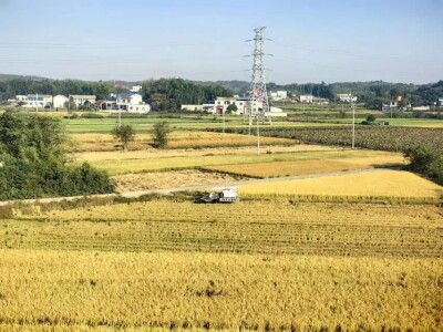 渠水有变 丰收有底——韶山灌区右干渠秋收走访侧记