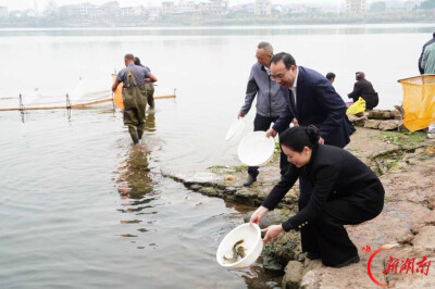 祁东：90万尾鱼苗回归湘江