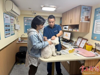 11月1日起严管！衡阳12000余只狗狗已领“身份证”，办证攻略看这里