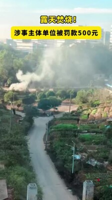 露天焚烧，罚款500元