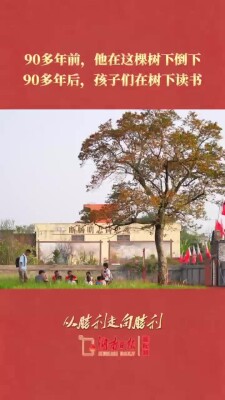 90多年前，他在这棵树下倒下；90多年后，孩子们在树下读书｜从胜利走向胜利
