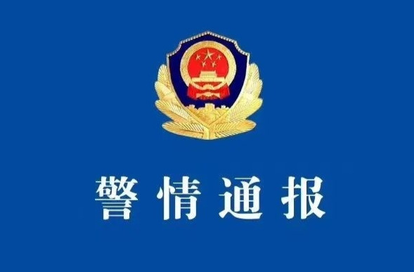 国家公祭日一男子背贴日本国旗，警方：已行拘