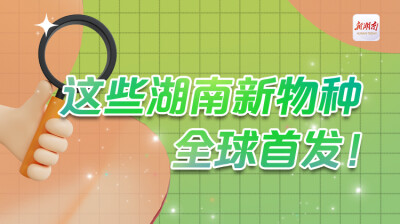 长图｜这些湖南新物种，全球首发！