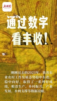 海报｜通过数字看丰收！