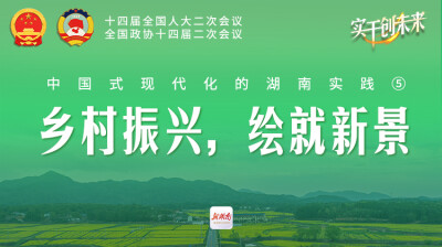 中国式现代化的湖南实践⑤｜乡村振兴，绘就新景