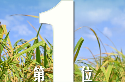 海报|“数”看湖南“三农”结出累累硕果