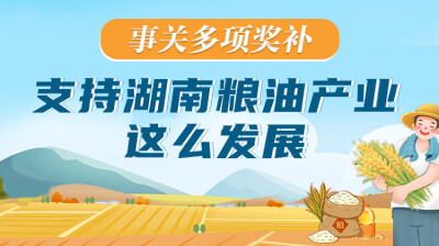 政策简读丨事关多项奖补 湖南粮油产业这么发展