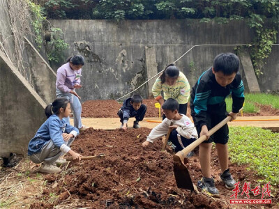 荷塘区：五育之花并蒂开 素质教育结硕果