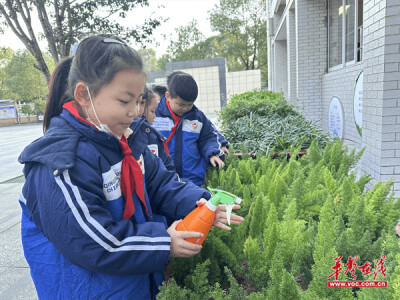 开福区：本草清香润校园 国粹传承助成长