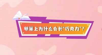 女子痛经5年 只因卵巢上长出“巧克力”
