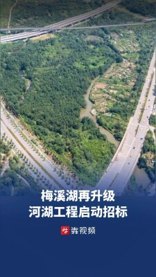 梅溪湖中央公园前置工程启动招标｜读城