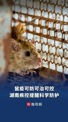 湖南疾控提醒：鼠疫可防可治可控，科学预防不信谣不传谣