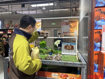 长沙早熟大闸蟹批量上市，售价有回落