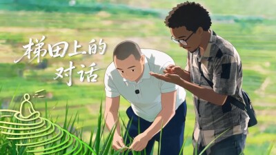 梯田上的对话②｜种植大户与留学生，共探千年农耕智慧