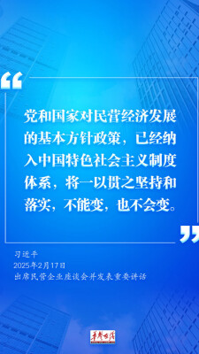 【海报】民营企业座谈会上，总书记重要讲话鼓舞人心