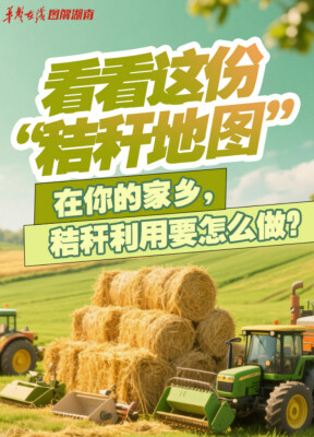 【AI图解】从这份地图，看湖南秸秆利用怎么做