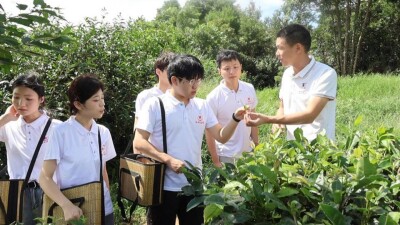 湖南师范大学“星旅远航”师生团队赋能茶文旅乡村振兴