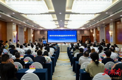 湖南省微短剧高质量发展推进会在长沙举行