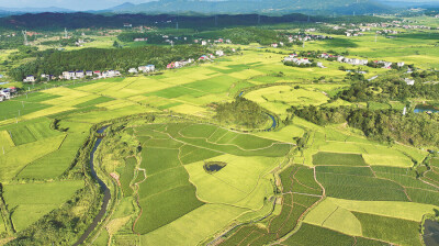 生态田园夏意浓