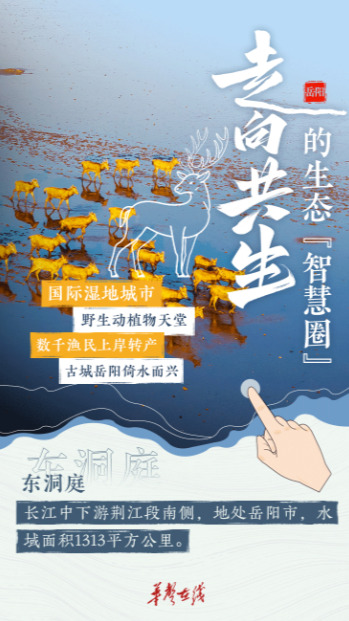 【SVG海报】水YOUNG湖湘，解锁绿水青山新样范
