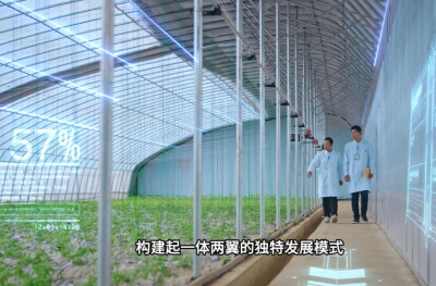 湘晖农业：“信”火相传二十载，工农两业协同发展