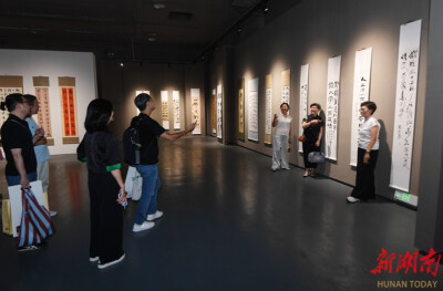 “墨连湘澳・书画展”长沙开展 