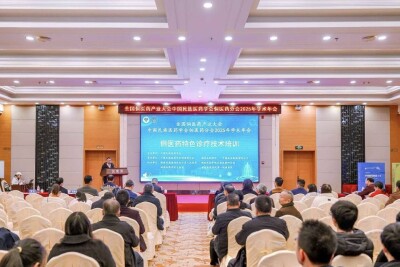 全国侗医药产业大会在湘开幕 通道“产学研用”融合打造民族医药新高地