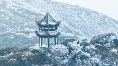 冰雪森林