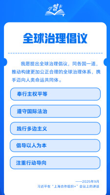 学习卡丨一组重要表述，盘点2025大国外交
