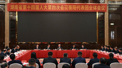 沈晓明参加衡阳市代表团审议