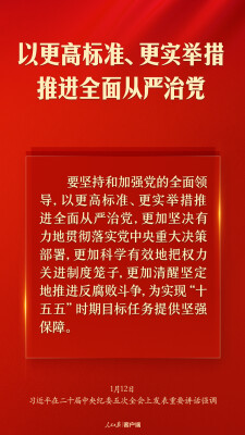 习近平：以更高标准、更实举措推进全面从严治党
